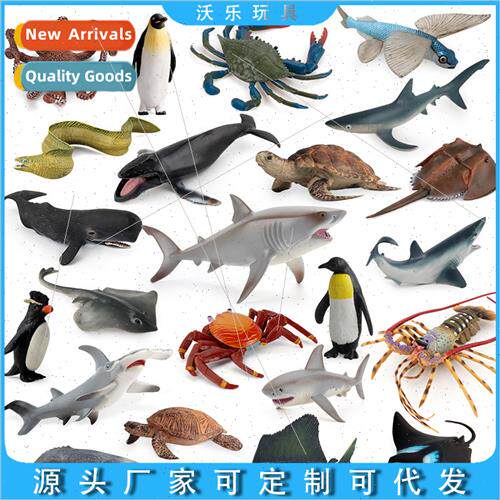 Wildlife solid great whe shark blue whale tiger shark whale
