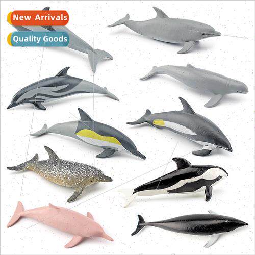 Indo-Pacific humpback dolphin long-snouted dolphin short-sno
