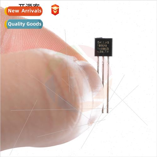Plug DS18B20 Chip Programmable Digal Thermometer/Temperature