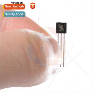 Plug DS18B20 Chip Programmable Digal Thermometer/Temperature
