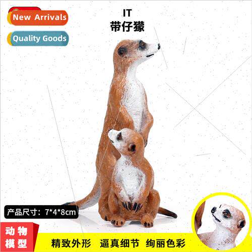 Wildlife model solid wh boy meerkat standing meerkat mongoos