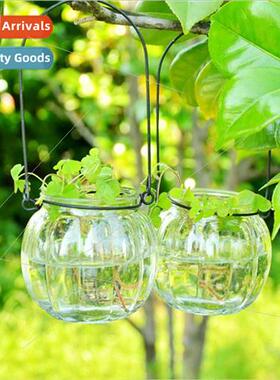 Creative Hydroponic Vase Pumpkin Clear Glass Vase Small Hang