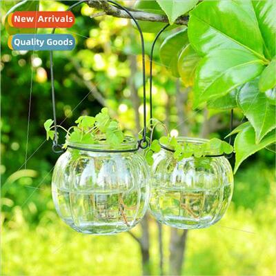 Creative Hydroponic Vase Pumpkin Clear Glass Vase Small Hang