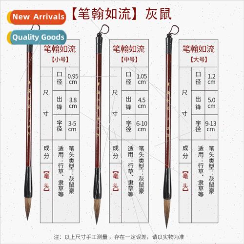 Partial hair gray mouse brushes beginner practice training c