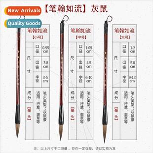 Partial hair gray mouse brushes beginner practice training c