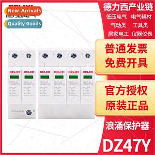 Surge protector lightning protection secondary DZ47Y 1P/2P/3