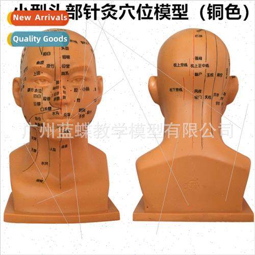 20CM human head four function acupuncture point model facial