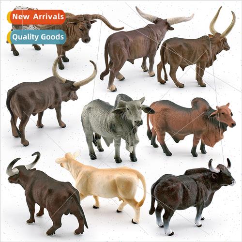 Texas Longhorn cattle Rumor Cattle Gaur Cattle Children Enli