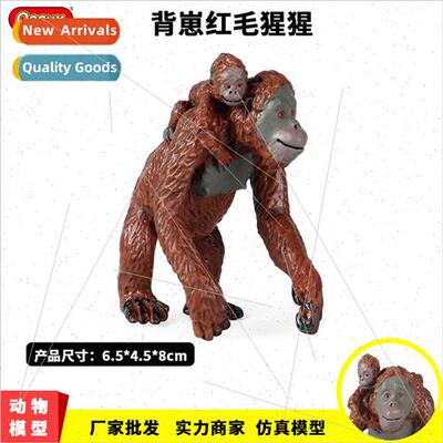 Animal model children simulation zoo orangutan orangutan mon