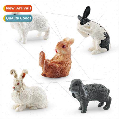 Wildlife rabb model children cognive wash rabb sting rabb py
