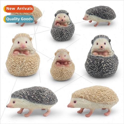 Wildlife hedgehog model steal melon badger spiny group hedge
