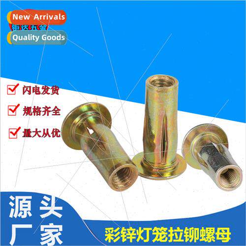 Color plated zinc lantern rivet nut flat head rivet nut auto