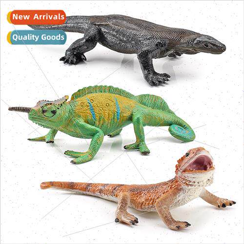 Desert Forest Animals Chameleon zard Amphibian Model Solid S