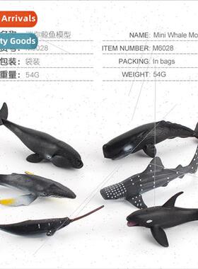 Marine Fish Animal Model Solid Static Polar Bear Whe Shark W