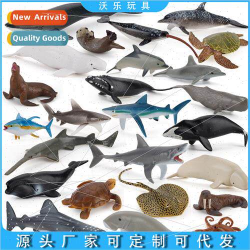 Mini whale shark dolphins sea turtles sea lions solid static