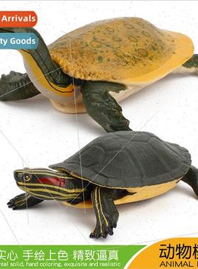 Freshwater Turtle Model Snapping Turtle Brazilian Turtle Sta