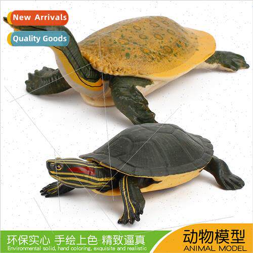Freshwater Turtle Model Snapping Turtle Brazilian Turtle Sta