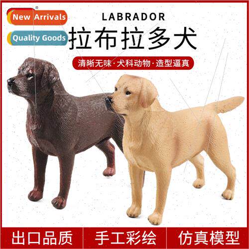 Cognive Labrador dog model children simulation animal car or