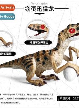 toys solid egg-stealing dragon egg-stealing velociraptor Ani