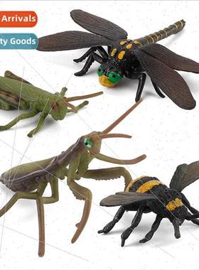 Creative desktop stray ornament model praying mantis grassho