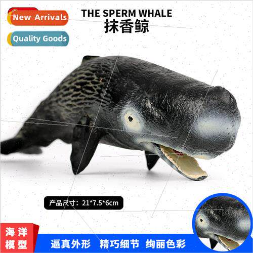 Children life model sperm whale shark marine plastic animal