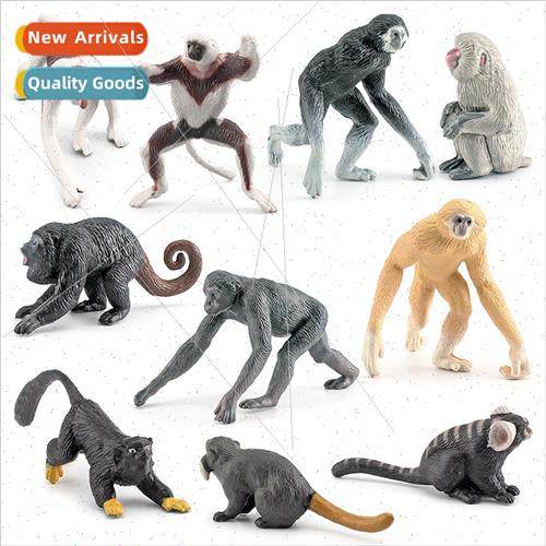 Children simulation animal primate long-haired monkey Japan