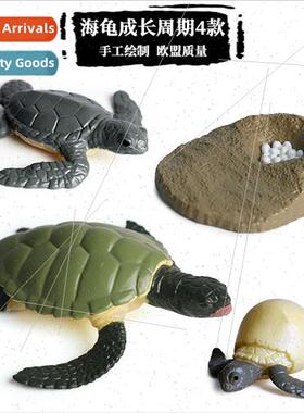 animal model sea turtle butterfly rooster frog salmon growth