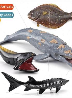 mulation marine animals whale sturgeon wide throat eel halib
