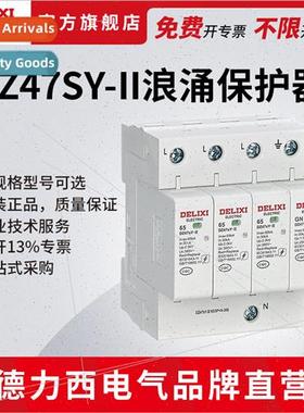 Electrical DZ47SY surge protector surge protector 2P3P4P hou