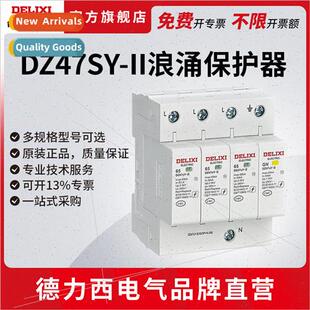 Electrical DZ47SY surge protector surge protector 2P3P4P hou