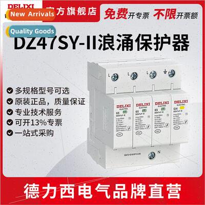 Electrical DZ47SY surge protector surge protector 2P3P4P hou