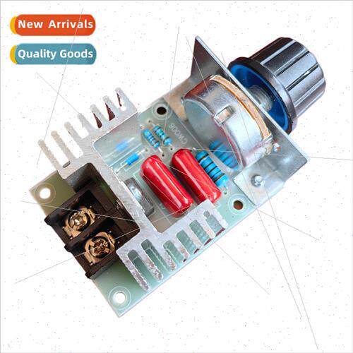 2000W Imported licon Controlled High Power Electronic Voltag