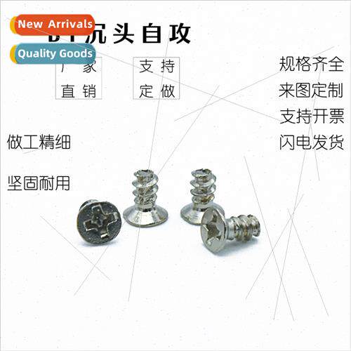 304 BT Phillips flat head flat tail self-tapping screws cons