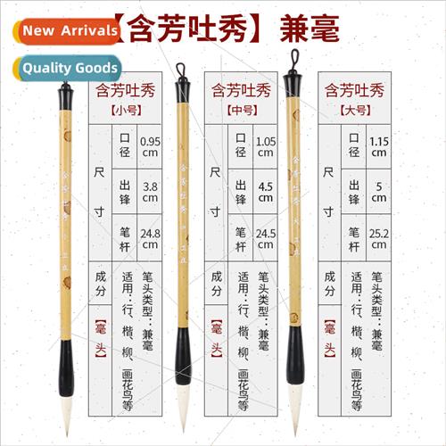 Partial brushes适用beginners to practice training courses st