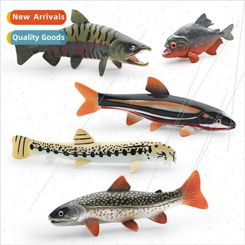 Marine animals Chinese loach Yarrow fish salmon piranha red
