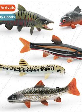 Marine animals Chinese loach Yarrow fish salmon piranha red