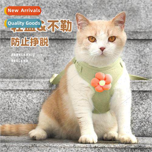 Small dog leash undershirt type small dog teddy bears pomera