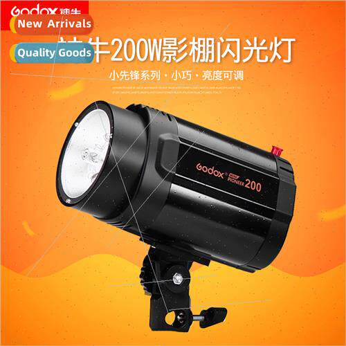 Small Pioneer 200W film  flash studio soft light shooting ph