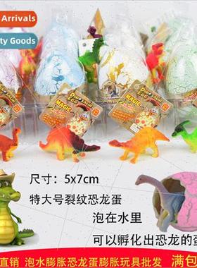 Soaking Dinosaur Eggs Hatching Eggs Resurrection Eggs Soakin