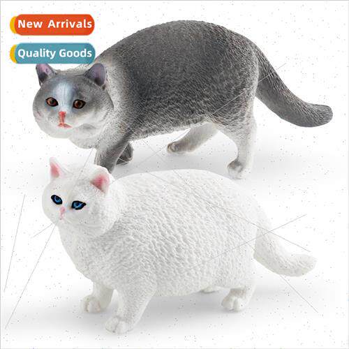 Cat animal model short hair Persian cat short hair fat cat d