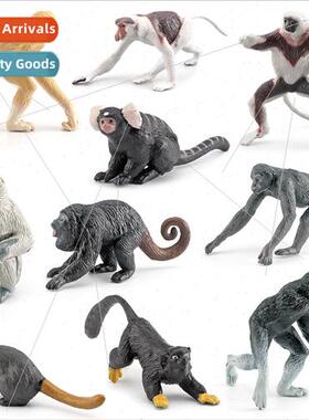 Primate model mini proboscis monkey gibbon bonobo chimpanzee