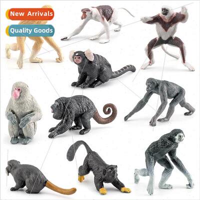 Primate model mini proboscis monkey gibbon bonobo chimpanzee