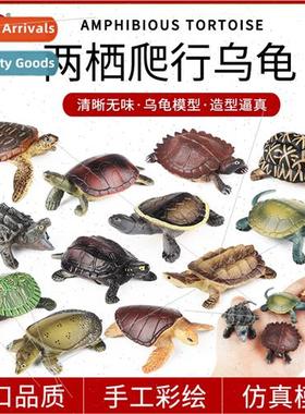 Amphibian reptile ornaments Brazilian turtle real snapping t
