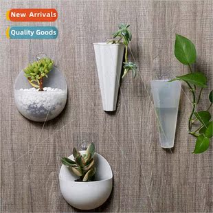 Hydroponic wall planter plastic multi-purpose hanging transp