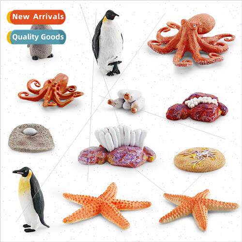 Growth cycle model penguin starfish octopus growth transmati