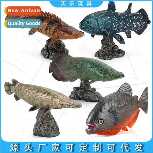 New  marine life fish science education solid ornaments mode