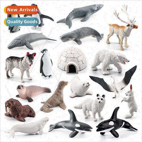 Wild North  Polar Animal Arctic Rabb Arctic Fox Seal Beluga