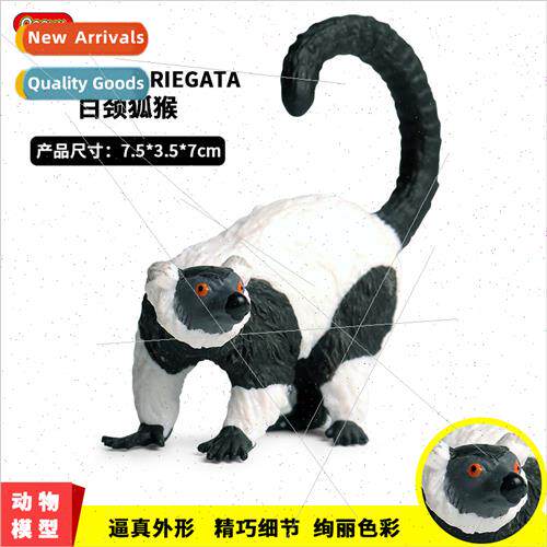 Wild animal model whe-necked lemur zoo orangutan monkey chil