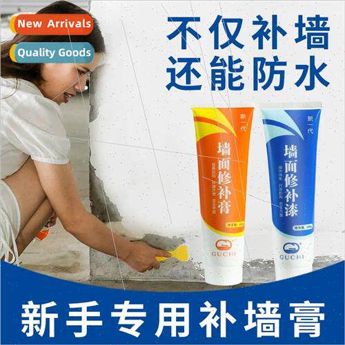 Patching paste whe waterpromoisture-promold-prolatex paint w