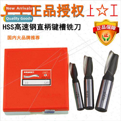 shank keyway two flute end mill High speed steel CNC tool 3